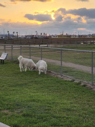Aransas Pass Dog Park - Aransas Pass, TX