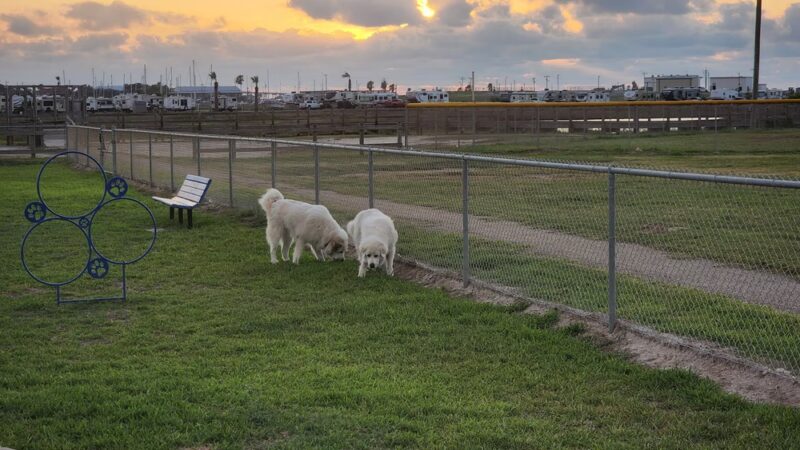 Aransas Pass Dog Park - Aransas Pass, TX