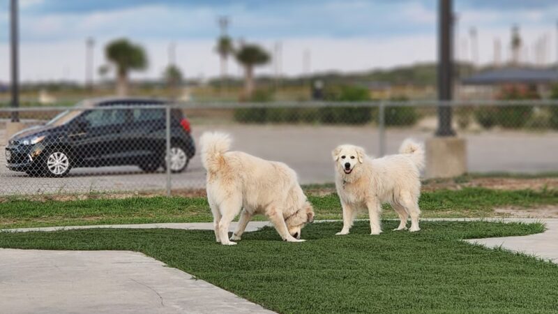 Aransas Pass Dog Park - Aransas Pass, TX