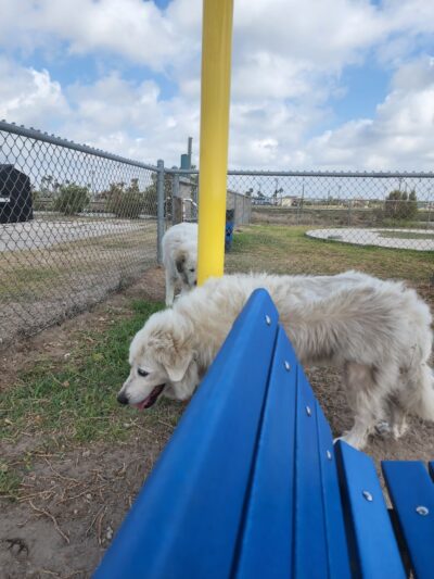 Aransas Pass Dog Park - Aransas Pass, TX