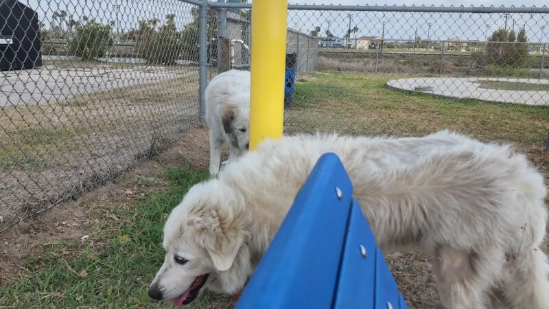 Aransas Pass Dog Park - Aransas Pass, TX