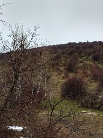 Porcelain Pot Park And Ski Lot Snowpark - Arbon, ID