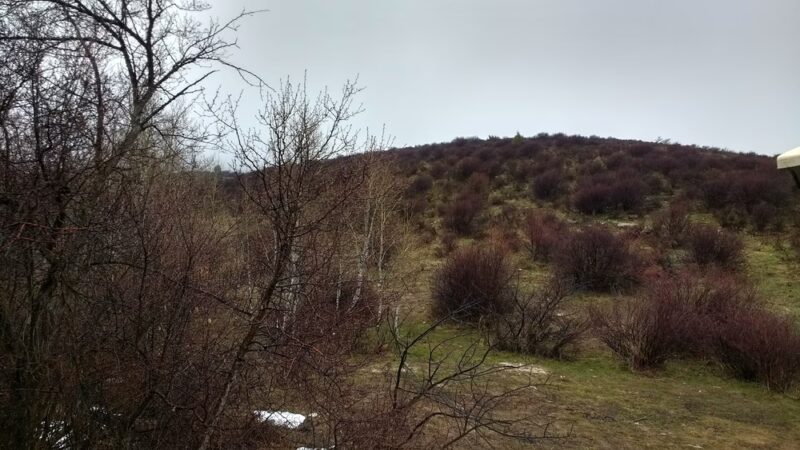 Porcelain Pot Park And Ski Lot Snowpark - Arbon, ID