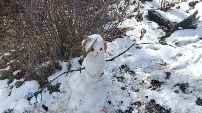 Porcelain Pot Park And Ski Lot Snowpark - Arbon, ID