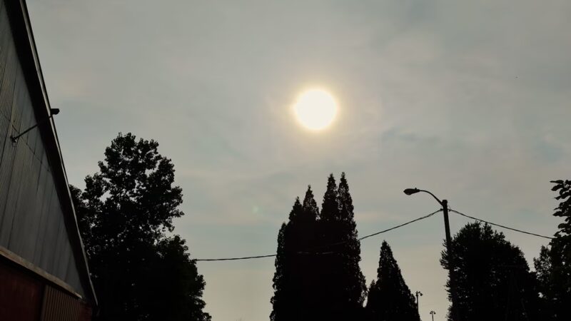 Mitchell Lee Park - Arcadia, IN