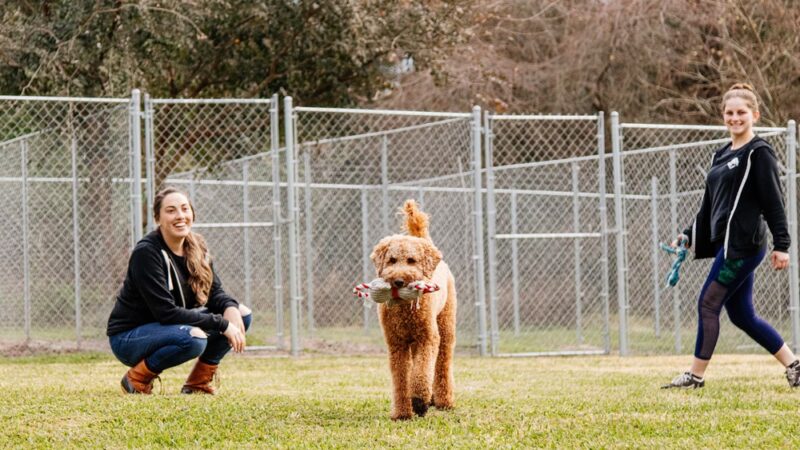 Archer Road Pet Resort - Archer Florida - Archer, FL