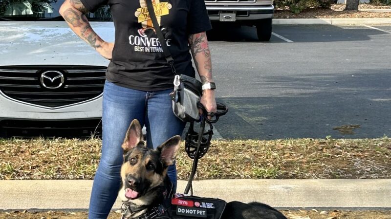 Dog's Play - Archer, FL