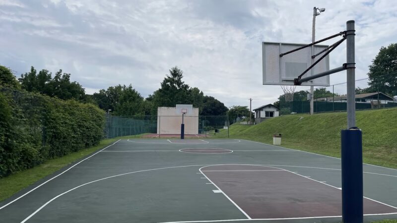 Anthony F. Veteran Park - Ardsley, NY