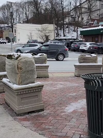 Booskerdoo Coffee & Baking Co. - Ardsley - Ardsley, NY