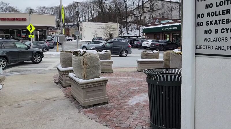 Booskerdoo Coffee & Baking Co. - Ardsley - Ardsley, NY