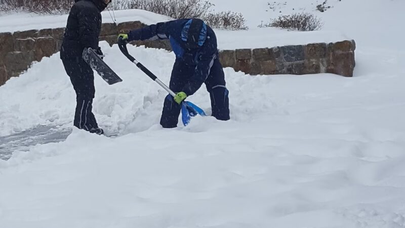 McDowell Park - Ardsley, NY