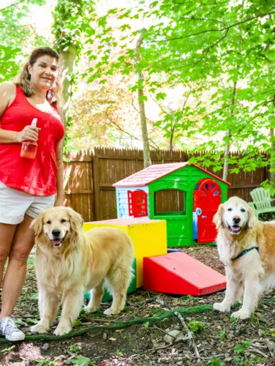 Playdates for Pets - Ardsley, NY