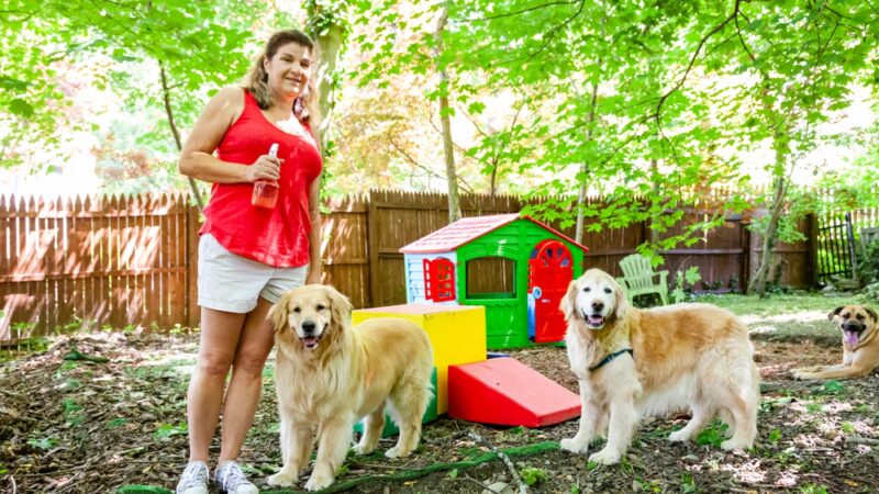 Playdates for Pets - Ardsley, NY