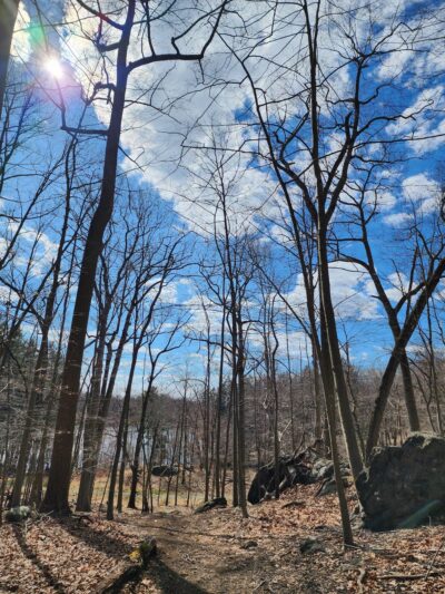 V.E Macy Park - Ardsley, NY