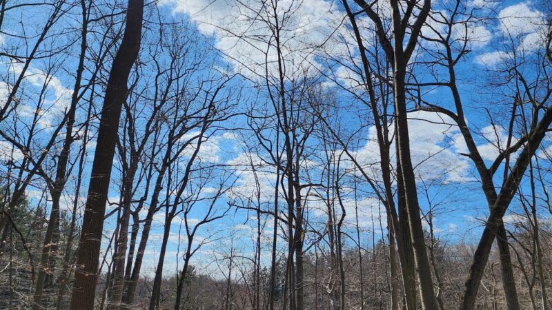 V.E Macy Park - Ardsley, NY