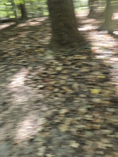 Westchester County Parks - Ardsley, NY