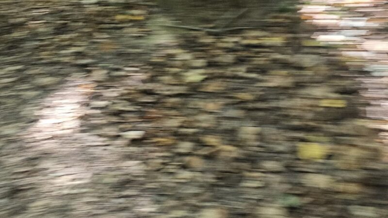 Westchester County Parks - Ardsley, NY