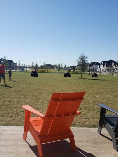 Harvest Bark Park - Big Dogs - Argyle, TX