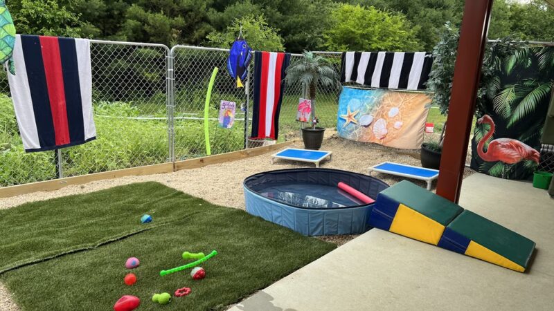 Shag & Wag K9 Country Club, LLC - Argyle, WI