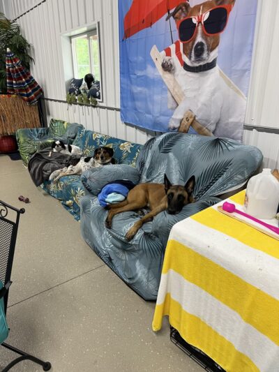 Shag & Wag K9 Country Club, LLC - Argyle, WI