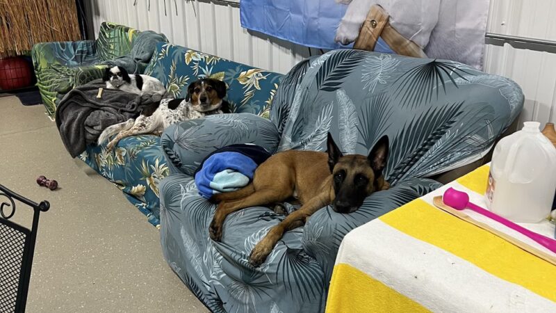 Shag & Wag K9 Country Club, LLC - Argyle, WI