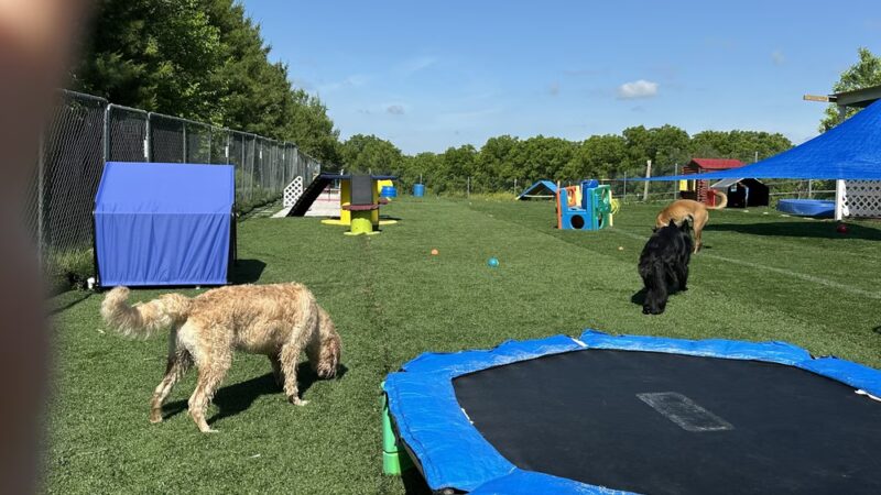 Shag & Wag K9 Country Club, LLC - Argyle, WI