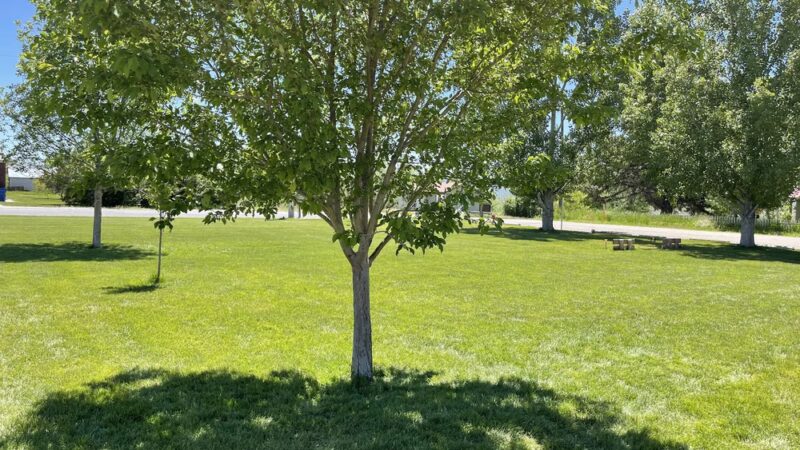 Arimo Park - Arimo, ID