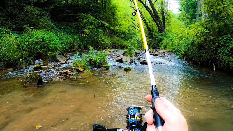 Arkansaw Creek Park - Arkansaw, WI