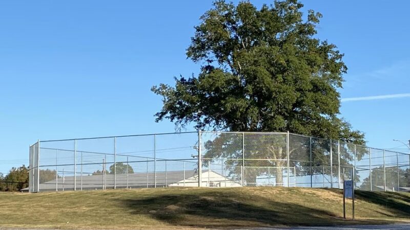 Hamner Memorial Park - Arley, AL