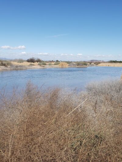 Arlington Wildlife Area - Arlington, AZ