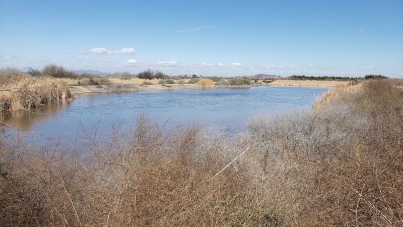 Arlington Wildlife Area - Arlington, AZ