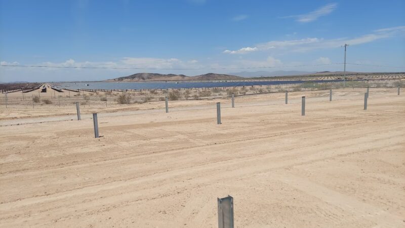 Arlington Wildlife Area - Arlington, AZ