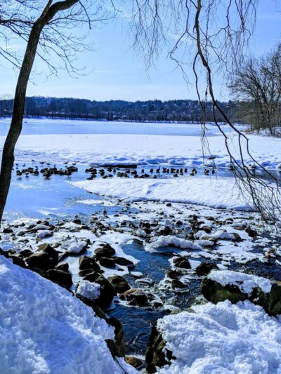 Arlington Reservoir - Arlington, MA