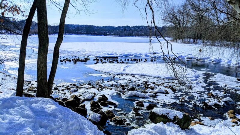 Arlington Reservoir - Arlington, MA