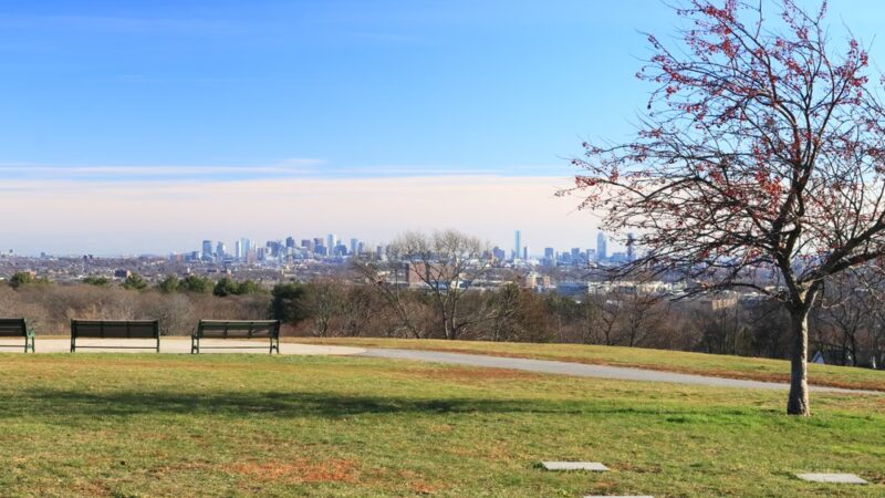 Robbins Farm Park - Arlington, MA
