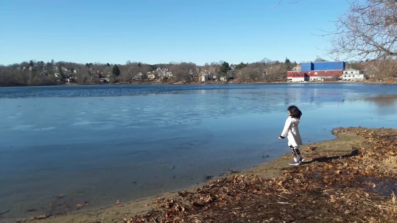 Spy Pond Park - Arlington, MA