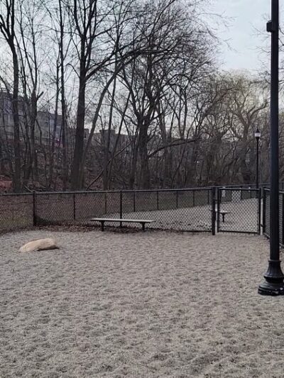 Thorndike Dog Park - Arlington, MA