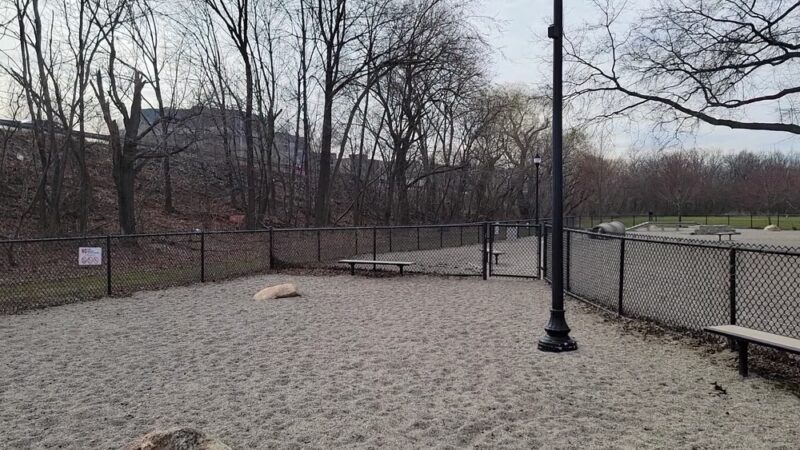 Thorndike Dog Park - Arlington, MA