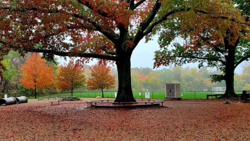 Thorndike Dog Park - Arlington, MA