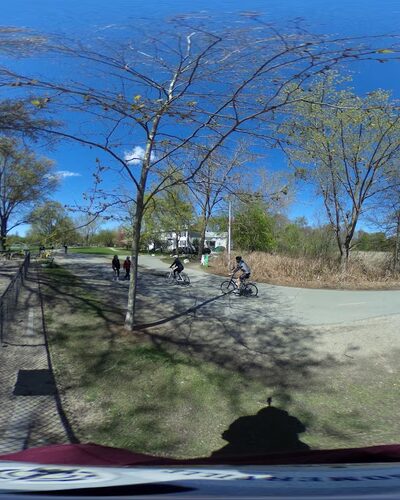 Thorndike Dog Park - Arlington, MA