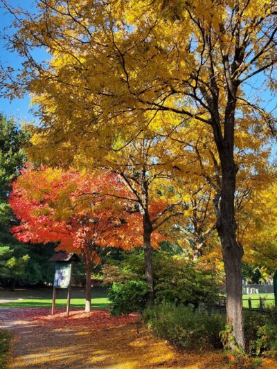 Waldo Park - Arlington, MA