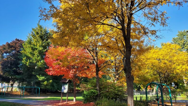 Waldo Park - Arlington, MA