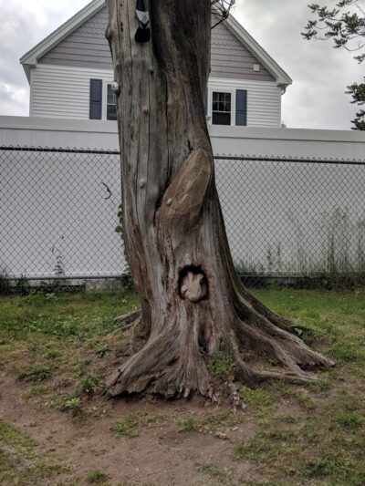 Waldo Park - Arlington, MA