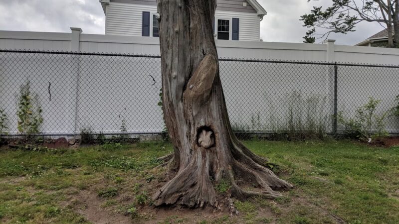 Waldo Park - Arlington, MA