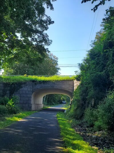 Dutchess Rail Trail - Arlington, NY