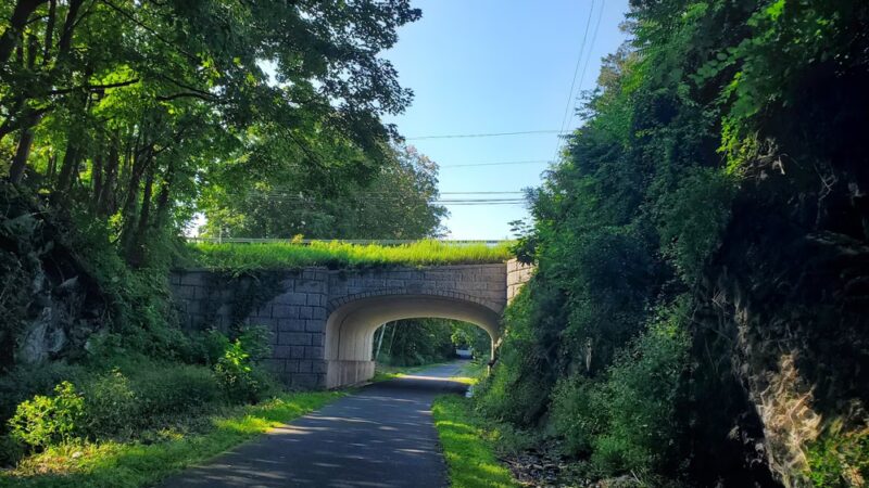 Dutchess Rail Trail - Arlington, NY