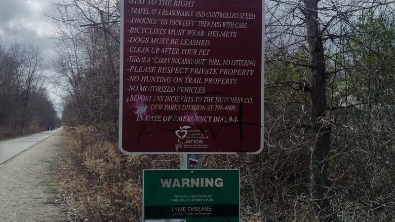 Dutchess Rail Trail - Arlington, NY