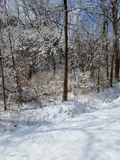 Dutchess Rail Trail - Arlington, NY