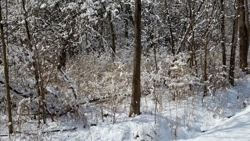Dutchess Rail Trail - Arlington, NY