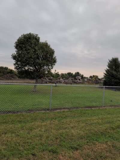 Arlington Dog Park - Arlington Township, MN